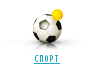 СПОРТ